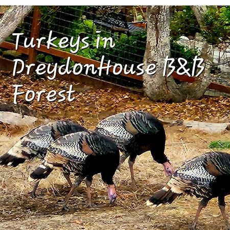 קאמבריה Dreydon House Bed And Breakfast מראה חיצוני תמונה