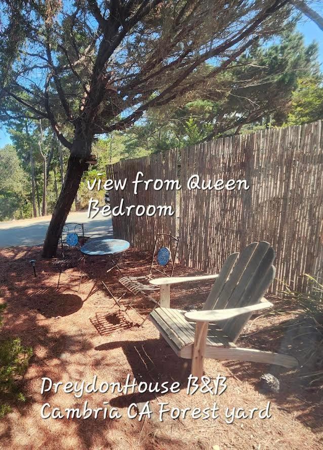 קאמבריה Dreydon House Bed And Breakfast מראה חיצוני תמונה